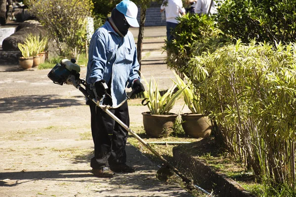 Jardineiro trabalhando e jardinagem no jardim se preparando para tailandês — Fotografia de Stock