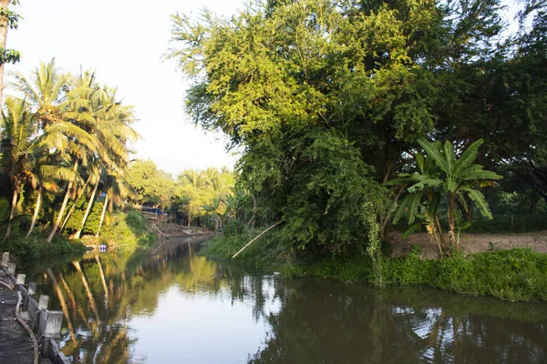 Ver Paisaje Movimiento Agua Del Canal Jardín Agrícola Plantación Cocos — Foto de Stock