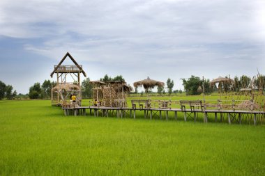 Ayutthaya, Tayland - 23 Temmuz: Tayland halkı ve yabancı gezginler, 23 Temmuz 2019 'da Ayutthaya, Tayland' da kırsal kesimdeki kahve dükkanının fotoğrafını çekmek için pirinç tarlasındaki ahşap köprü üzerinde yürüyüş yaptılar.