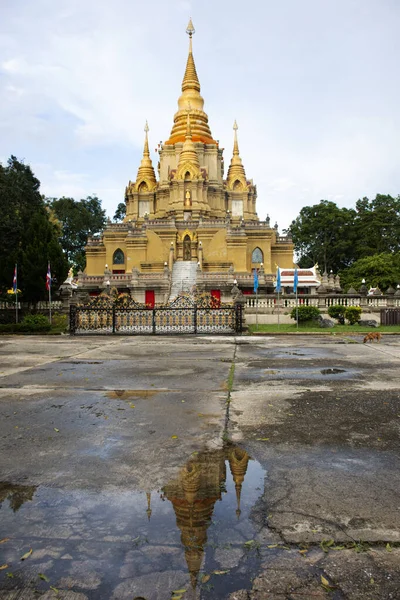 Reflektion Phra Att Chedi Phra Phuttha Dhamma Prakat Stupa Och — Stockfoto