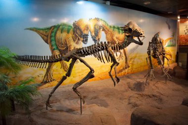 Kalasin, Tayland - 2 Ekim 2019 'da Sirindhorn Müzesi' nde Dinozor Modeli ve Phu Kum Khao Dinozor Kazısı Sahatsakhan 'da insanların 2 Ekim 2019' da Kalasin, Tayland 'da ziyaret ettiği gezginler için