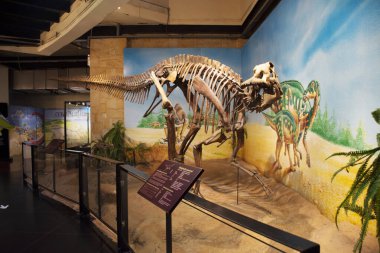 Kalasin, Tayland - 2 Ekim 2019 'da Sirindhorn Müzesi' nde Dinozor Modeli ve Phu Kum Khao Dinozor Kazısı Sahatsakhan 'da insanların 2 Ekim 2019' da Kalasin, Tayland 'da ziyaret ettiği gezginler için