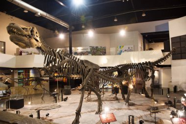 Kalasin, Tayland - 2 Ekim 2019 'da Sirindhorn Müzesi' nde Dinozor Modeli ve Phu Kum Khao Dinozor Kazısı Sahatsakhan 'da insanların 2 Ekim 2019' da Kalasin, Tayland 'da ziyaret ettiği gezginler için