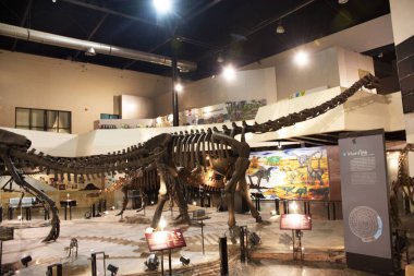 Kalasin, Tayland - 2 Ekim 2019 'da Sirindhorn Müzesi' nde Dinozor Modeli ve Phu Kum Khao Dinozor Kazısı Sahatsakhan 'da insanların 2 Ekim 2019' da Kalasin, Tayland 'da ziyaret ettiği gezginler için
