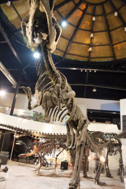 Kalasin, Tayland - 2 Ekim 2019 'da Sirindhorn Müzesi' nde Dinozor Modeli ve Phu Kum Khao Dinozor Kazısı Sahatsakhan 'da insanların 2 Ekim 2019' da Kalasin, Tayland 'da ziyaret ettiği gezginler için