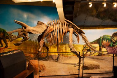 Kalasin, Tayland - 2 Ekim 2019 'da Sirindhorn Müzesi' nde Dinozor Modeli ve Phu Kum Khao Dinozor Kazısı Sahatsakhan 'da insanların 2 Ekim 2019' da Kalasin, Tayland 'da ziyaret ettiği gezginler için