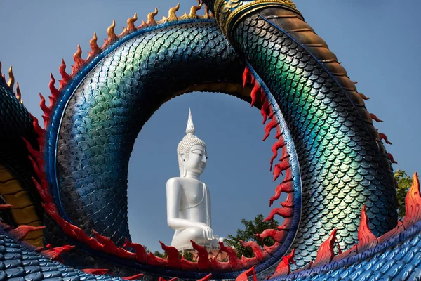 Stor Blå Naka Och Vit Buddha Staty Wat Roi Phra — Stockfoto