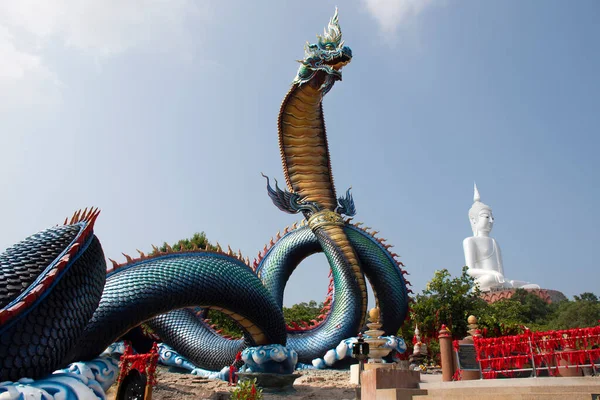 Stor Blå Naka Och Vit Buddha Staty Wat Roi Phra — Stockfoto