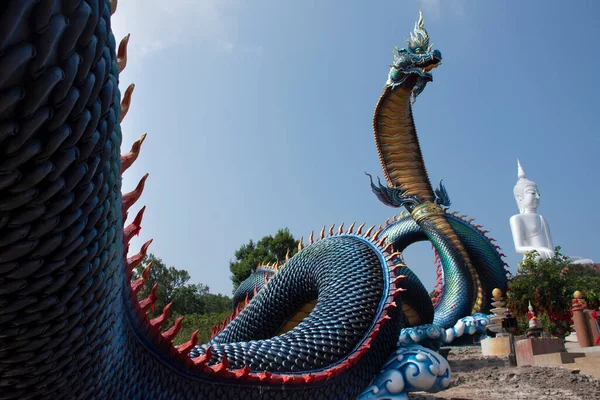 Stor Blå Naka Och Vit Buddha Staty Wat Roi Phra — Stockfoto