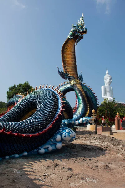 Stor Blå Naka Och Vit Buddha Staty Wat Roi Phra — Stockfoto