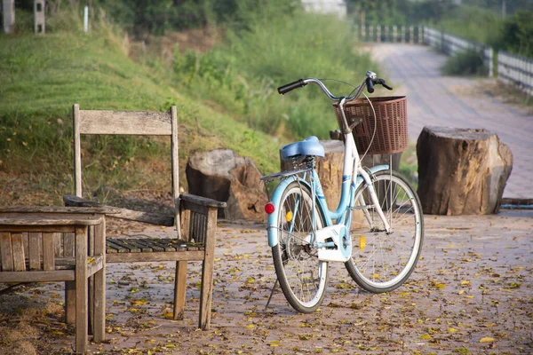 Classic Vintage Retro Bicycle Stop Street Park Outdoor Riverside Mekhong — Stock Photo, Image