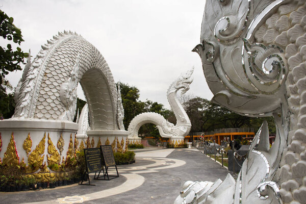 MUKDAHAN, THAILAND - NOVEMBER 12 : Big white naka statue for thai people travelers travel visit and respect praying at Kaeng kabao canyon at maekong riverside on October 12, 2019 in Mukdahan, Thailand