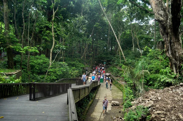 バリ島 インドネシア 3月22日 バリのインドネシア人と外国人旅行者は 2018年3月22日にインドネシアのバリ島で マンダラ ウェンラ ワナまたはウブドの聖なる猿の森保護区を訪問します — ストック写真