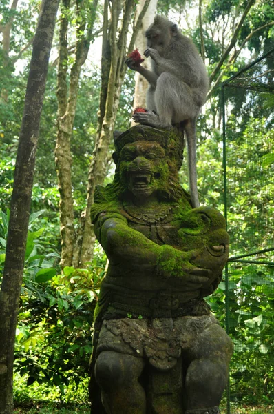 Scultura Artistica Scolpita Antica Divinità Angelo Dio Della Statua Indù — Foto Stock