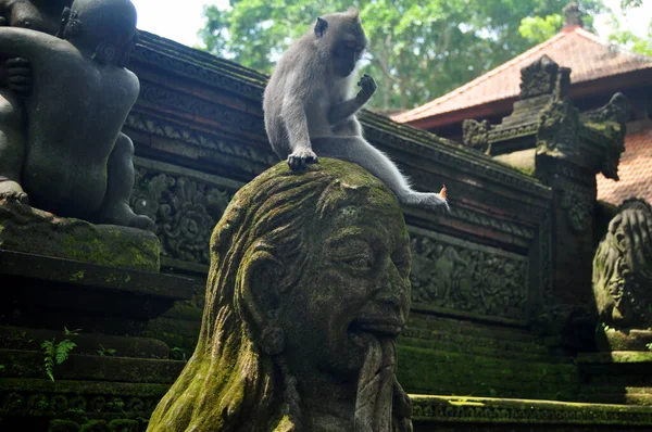 Kunstskulptur Und Geschnitzte Antike Gottheit Engelgott Der Hindu Statue Balinesischen — Stockfoto