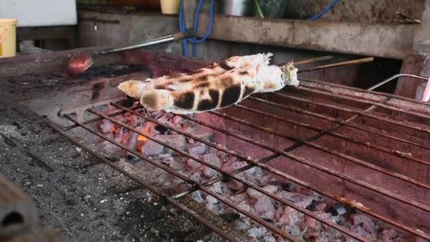 Grillen Und Braten Von Schlangenkopf Fisch Mit Salzkruste Auf Holzkohleofen — Stockvideo