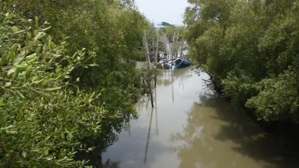 Προβολή Τοπίου Μαγκρόβια Δάσος Και Μικρό Κανάλι Του Ban Bang — Αρχείο Βίντεο