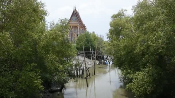 泰国Samut Sakhon的红树林景观和Ban Bang Krachao渔村的小运河 — 图库视频影像