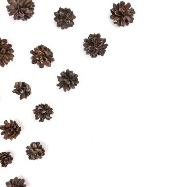 Noel kompozisyon. hediye, örgü battaniye, çam kozalakları, köknar b