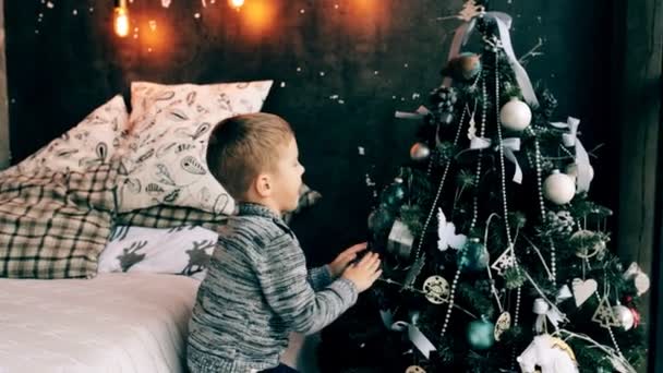 男孩打扮圣诞树 — 图库视频影像