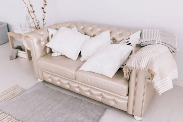 Stylowy salon z wygodną sofą — Zdjęcie stockowe