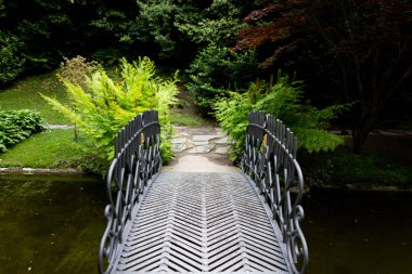 Peyzaj tasarımı göleti.