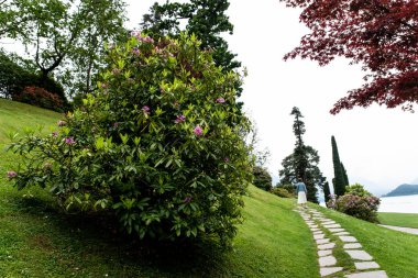 Parlak bir yaz gününde ağaçlar ve çimenler