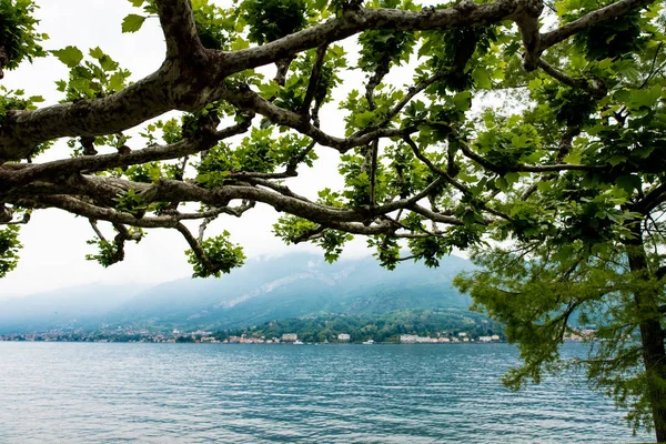 大きな美しい湖、コモ湖イタリアの上を表示します。. — ストック写真