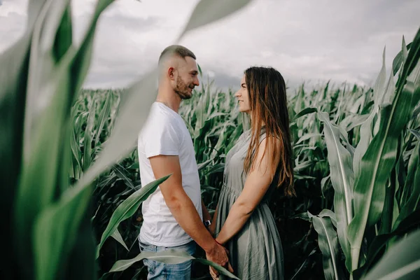 Paar Spaziert Durch Maislabyrinth — Stockfoto