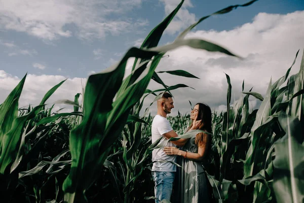 Pareja Caminando Través Del Laberinto Maíz —  Fotos de Stock