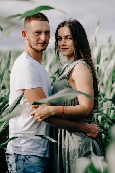 Couple Walking Corn Maze — Stock Photo, Image