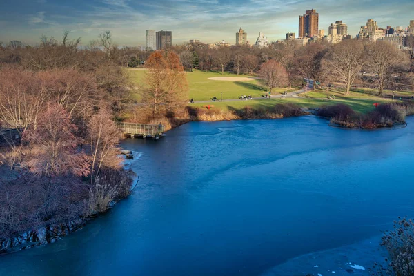 Central Park Nyc Dagsljusvy Vinter Vidvinkel Utsikt Med Frusen Sjö — Stockfoto