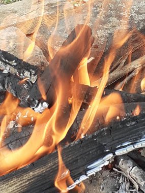 Ateş, kurumuş dalları yakıp kavurur.