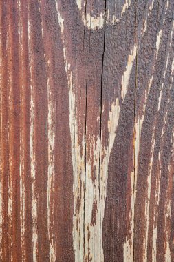 doğal desenli ahşap yüzey dokusu