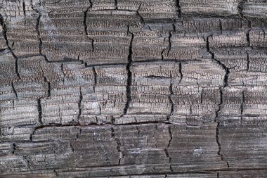 Ahşap dokunun arka planında eski ahşap