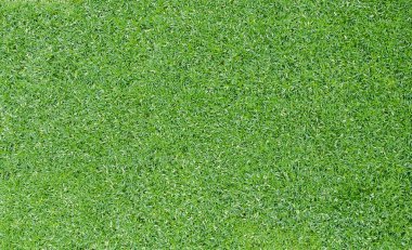 Yeşil çimlerin üst görünümü, doğa arka planı