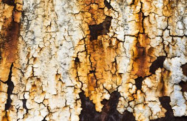 Paslı metal levha ve grunge doku. Aşınma ve oksitlenmiş arkaplan. 