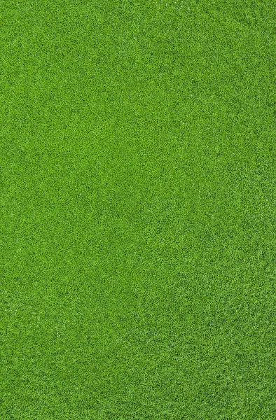 Blick Von Oben Auf Grünes Gras Natur Hintergrund — Stockfoto