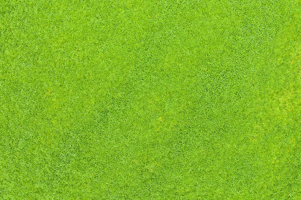 Bovenaanzicht Van Groen Gras Natuur Achtergrond — Stockfoto