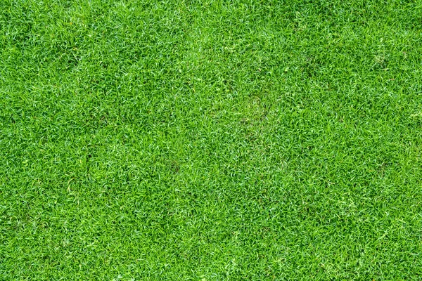 Blick Von Oben Auf Grünes Gras Natur Hintergrund — Stockfoto