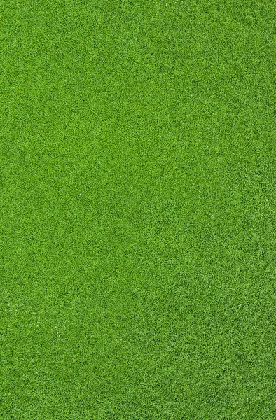 Ovanifrån Grönt Gräs Natur Bakgrund Stockfoto
