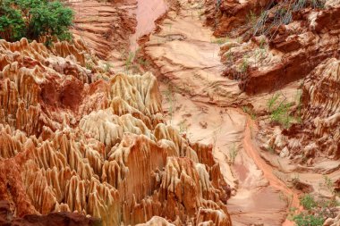 Madagaskar, Afrika 'daki Tsingy Rouge Park' ında kırmızı kumtaşı oluşumları ve iğneler (Tsingys)