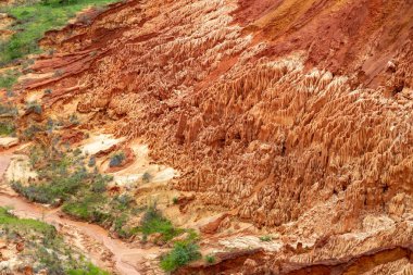 Madagaskar, Afrika 'daki Tsingy Rouge Park' ında kırmızı kumtaşı oluşumları ve iğneler (Tsingys)