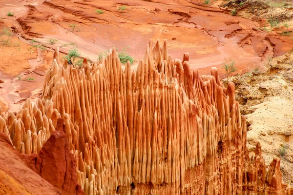 Madagaskar, Afrika 'daki Tsingy Rouge Park' ında kırmızı kumtaşı oluşumları ve iğneler (Tsingys)