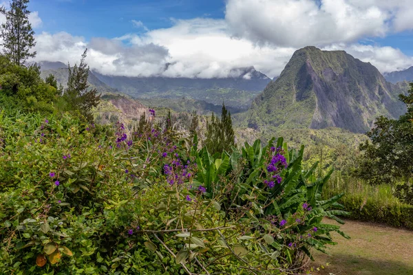 Malerischer Blick Auf Eine Grüne Landschaft Mit Bergkette Hintergrund Bäumen — Stockfoto