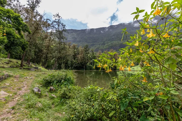 Paisaje Con Lago Idílico Trompetas Ángel Árboles Verdes Interior Isla —  Fotos de Stock