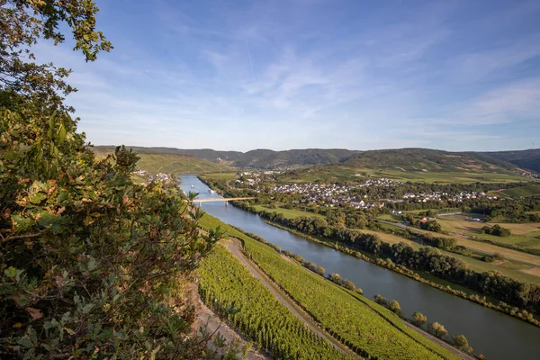 Panoramatický Výhled Údolí Moselle Vinařskou Vesnicí Muelheim Pozadí Slunečného Podzimního — Stock fotografie