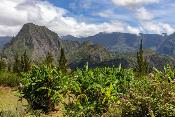 Vista Panorámica Paisaje Verde Con Cordillera Fondo Árboles Plantas Colores —  Fotos de Stock