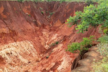 Madagaskar, Afrika 'daki Tsingy Rouge Park' ında kırmızı kumtaşı oluşumları ve iğneler (Tsingys)
