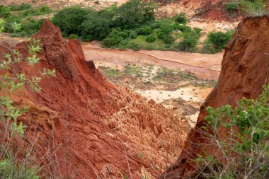 Madagaskar, Afrika 'daki Tsingy Rouge Park' ında kırmızı kumtaşı oluşumları ve iğneler (Tsingys)